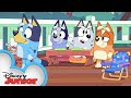 Bluey Season 1 Episode 4 