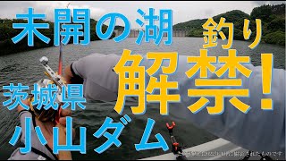 ついに解禁！小山ダムで何が釣れる！？