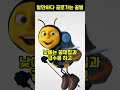 불쌍한 꿀벌의 일생