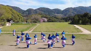 周防紅華連その2  2023川棚菜の花よさこい