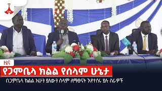 በጋምቤላ ክልል አሁን ያለውን ሰላም ለማፅናት እየተሰሩ ያሉ ስራዎችEtv | Ethiopia | News