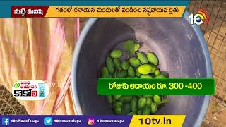 18 సెంట్లలో 15 రకాల కూరగాయల సాగు | Cultivation of 15 varieties of vegetables | Matti Manishi | 10TV