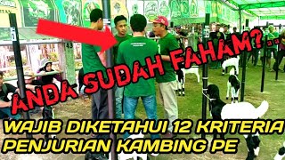 12 kriteria penilaian kambing kontes etawa \u0026 bursa kambing PE