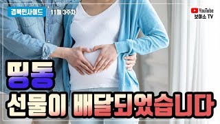 [보이소 TV] 2019년 11월 3주 경북인사이드