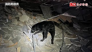 搜救犬出動！台中新光三越氣爆宛如廢墟 消防人員深入搜索搶命（台中市消防局提供）