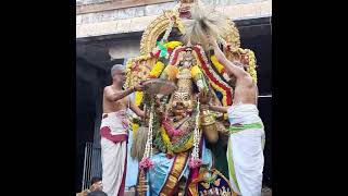 Garuda sevai Radhasapthami 2024 Byragi madam Prasanna Venkatesa Perumal Temple Sowcarpet Chennai