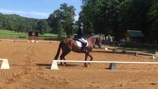 2021 Otter Creek HT- Dressage Beginner Novice Test B