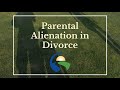 Parental Alienation in Divorce