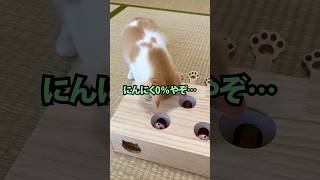 今から「にんにく注射」自作して注射してみるで～！  【2ch面白いスレ】 #shorts