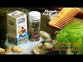 shampoo anti kutu untuk anak harga murah wa 0897 233 8878