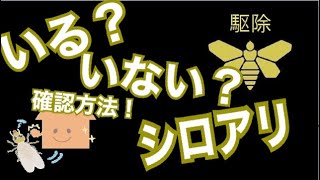 シロアリがいるかチェックする方法！プロの業者がお教えします！