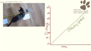 Plotting Distance Time Graphs With Primrose