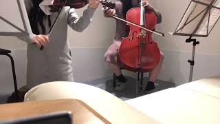 虹/菅田将暉Violin Cello cover