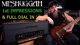 Fortin Meshuggah - First Impressions, In Depth Review