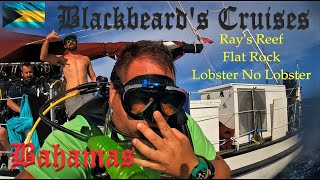 Blackbeard's Cruises Scuba Diving Bahamas