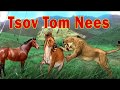 Dab Neeg Tsov Tom Yawg Nyiaj Pov Tus Txiv Nees Txaus Ntshai