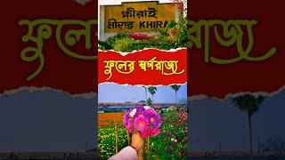 ক্ষীরাই এ গড়ে উঠেছে ফুলের স্বর্গরাজ্য💐