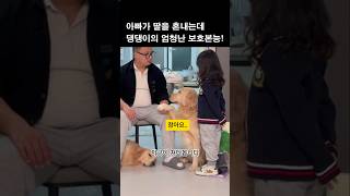 아빠가 딸을 혼내려는데 댕댕이의 엄청난 보호본능! #강아지 #댕댕이