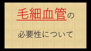 【予防ができる整体院Roots】西日本MRグループです　毛細血管の重要性と酵素