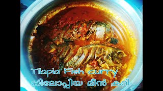 Tilapia Fish curry | മീൻ മുളകിട്ടത് | തിലാപ്പിയ മീൻ കറി | Kerala style Meen curry