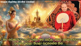 සසර කුසලතාවය ඉස්මතු වෙලා කියලා අඳුනගන්න ඕන.2185Ven Hasalaka Seelawimala Thero