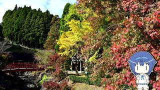 ひとりでとことこツーリング　～いちき串木野市 冠岳～