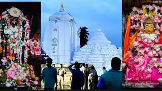 Lord Alarnath / lord Jagannath/ Puri / ANASARA / Rath Yatra/ puri tourism/ Rath making /car festival