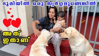 ഭൂമിയിൽ ഒരു സ്വർഗ്ഗമുണ്ടെങ്കിൽ അത് ഇതാണ് - ടെറി 😀 : Terry and Pinki Life Day 2 : Cute moments