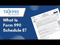 What Is Form 990 Schedule E?