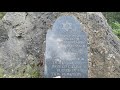 abandoned jewish cemetery at brzeziny poland