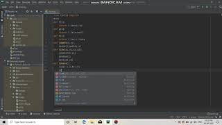 Chaos program using python language.