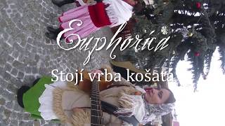 Euphorica -  Stoji vrba košatá - koleda