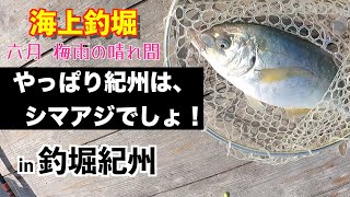 【海上釣堀】やっぱり紀州はシマアジでしょ！   in 釣堀紀州