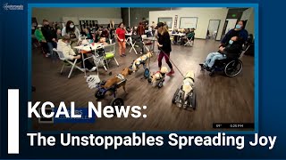 KCAL and CBS Los Angeles News: The Unstoppable Dogs Visit Easterseals Senior Day Services