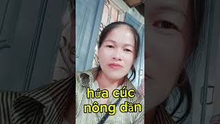 nông dần hứa cúc phong sư đối đáp.noong mà thấng đắc lắc noong xá.tinh nghĩa ngày xưa.