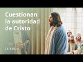 Cuestionan la autoridad de Cristo