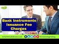 Financial Instruments Issuance Fee Charges | Bronze Wing Trading L.L.C.