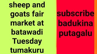 badukina putagalu sheep and goats fair market at batawadi Tuesday tumakuru