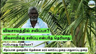 🥥சிறப்பான முறையில் தென்னை மரம் வளர்ப்பு முறை🥥Best Method of DxT Coconut Tree Cultivation🔸Dr.விவசாயம்