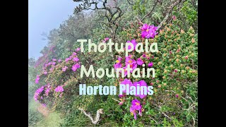 Stunning Thotupala mountain Trail , Horton Plains , #srilanka #travel #hiking #nature #relaxing #fyp