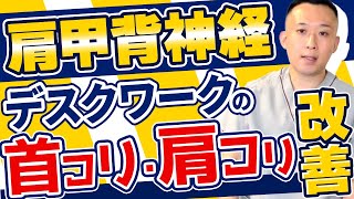 【デスクワークによる痛み】肩甲背神経に対する神経テクニック