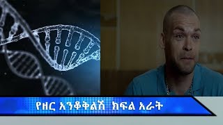 የዘር እንቆቅልሽ! ክፍል አራት