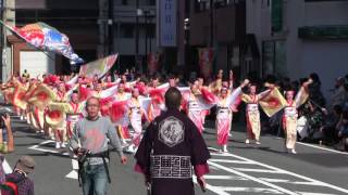 第20回よさこい東海道(2016/11/13)「鳴子艶舞会」