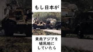 もし日本が東南アジアを植民化してたら？#歴史のif #大日本帝国 #織田信長 #太平洋戦争