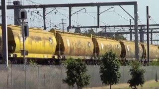 SSR GRAIN TRAIN