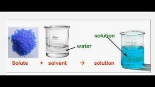 (10th Science TN) Solutions /கரைசல்கள்