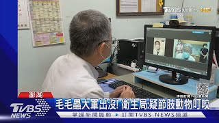 澎湖400人患奇癢紅疹 醫隔海「視訊看診」｜TVBS新聞