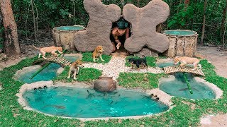 Rescued Abandoned Puppies Feeding Building Mud Bone Dogs And Fish Pond (FULL VIDEO)