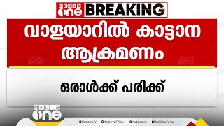 പാലക്കാട് വാളയാറിൽ കാട്ടാന ആക്രമണത്തിൽ ഒരാൾക്ക് പരിക്ക്