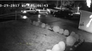 #TryHardTrailerThief (Clackamas County Sheriff's Office)